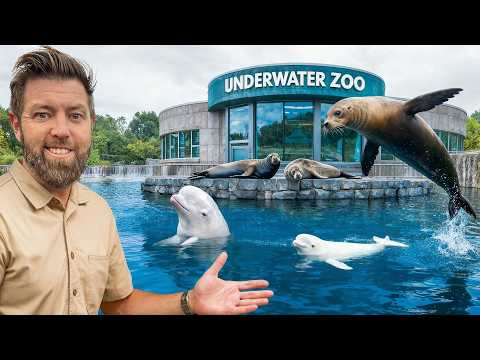Private Tour Of America's Best Marine Animal Facility