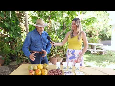 Puerto Rico’s Finest Chocolate: The Art of Crafting Cacao at Jean Marie Chocolat!