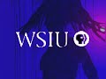 PBS Station Identification 2003 2004 2005 2006 WSIU TV
