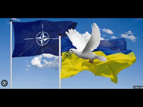 Mbyllet Lufta? Çfarë pritet nga samiti i NATO-s !