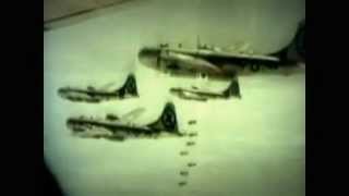 Guided By Voices | Noble Insect