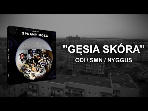 JTS & QDI - Gęsia skóra (prod. Thilk)