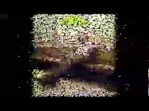 Digby Richards   A Man's Gotta Be Free