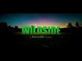DLC Paramount MTV Amblin Television Fremantle The Apartment Wildside Others