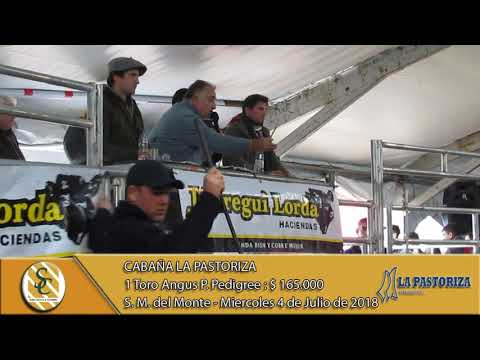 04-07-18 Venta de Toros Angus PP - Cabaña La Pastoriza - San Miguel del Monte