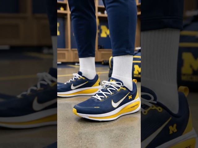 Vídeo relacionado con Park Fields Universidad de Michigan Wolverines PAFI967 Camiseta
