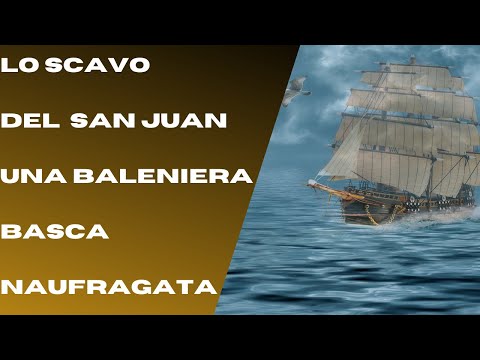 Lo scavo di Red Bay:i segreti di una baleniera basca. #galeon #history #mare #spain #whales#pirates