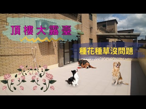 中路特區旁/一房一聽/大露台/平面車位 整層住家 世界花園 591租屋 月租20,000元/月