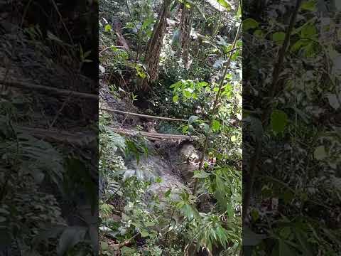 COMO SE LLAMA ESTA QUEBRADITA? VEREDA REFORMA ORTEGA TOLIMA