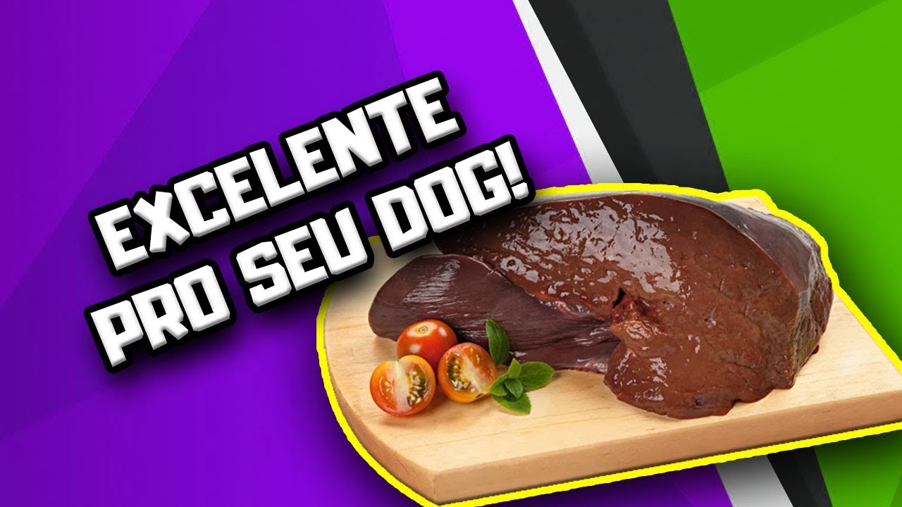 Dê mais Fígado para o seu Cachorro! | Dr. Edgard Gomes | Alimentação natural para Cães