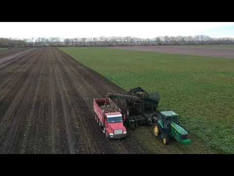 2021 North Dakota sugarbeet harvest loading truck from high above