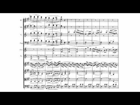 Beethoven 7th Symphony in A, Op 92, second movement, Allegretto