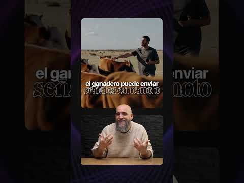 👉🏻 Te dejo el link de la Guía de Gemini Pro fijada en los comentarios de este vídeo