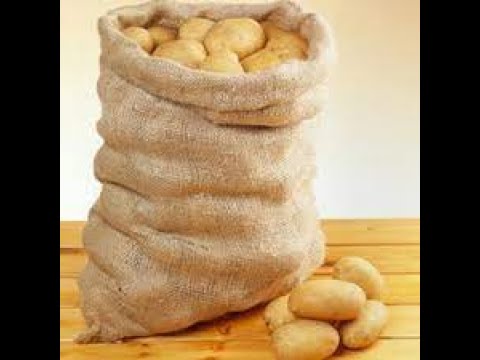 Roblox scp-1689 & scp-002