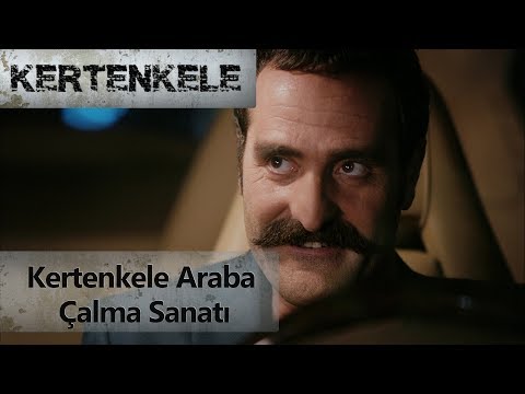 kertenkele araba çalma sanatı - Kertenkele