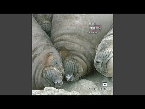 One Summer in Sweden