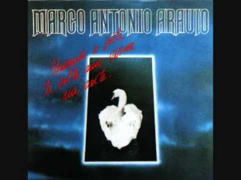 Marco Antônio Araújo / Quando a Sorte te Solta um Cisne na Noite