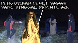Download lagu DEMIT SAWAH SUKA TURUN KEJALAN BUAT GEGER mp3