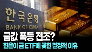 금값 폭등 전조? 한은이 금 ETF에 꽂힌 결정적 이유
