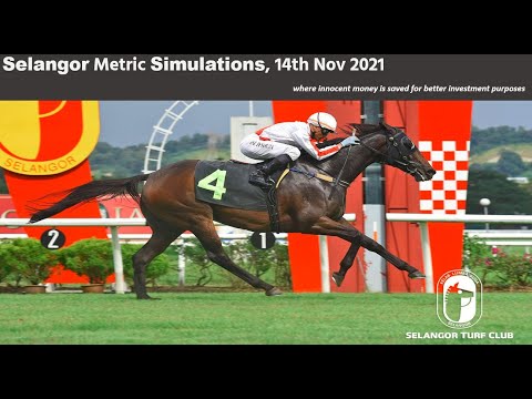 Selangor Metric Simulations Horse Racing 14 Nov 2021 |雪兰莪场上指标模拟预览和分析赛马视频