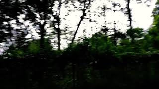 preview picture of video 'Shillong Road || Meghalaya ||'