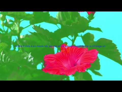 Dutch Nazari - Fiore d'inverno (Lyrics video)