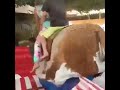 Joven Y Su Tía En El Toro Mecánico En La Feria