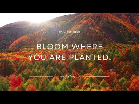 Sunset Listen Through - Hymn Of Heaven (Acoustic Sessions)