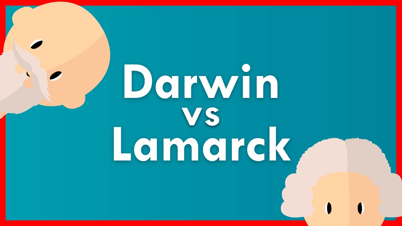 SIMILITUDES y DIFERENCIAS entre DARWIN y LAMARCK (en 3 minutos)