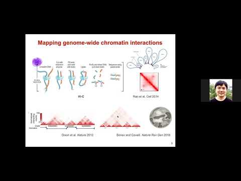 CCMB Seminar 10/07/2020 -  Jian Ma, PhD