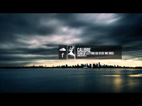 Calibre - Fear Of Letting Go (feat. MC DRS)
