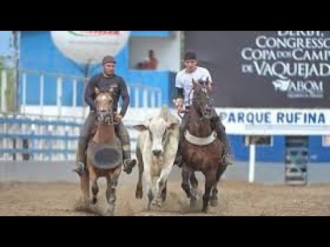 Eu Era Playboy da Cidade - Forró dos Tops #vaquejada #asmelhorevaquejadas #vaquejadanodestino