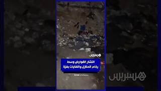 كارثة صحية تهدد غزة.. القوارض تنتشر وسط النفايات وركام المنازل thumbnail