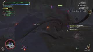 モンハンワイルズ!!参ります!!