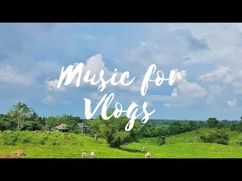 Music for Videos | Music for Vlogs (Struck by You COE remix (Seroa, Emalee, COE))