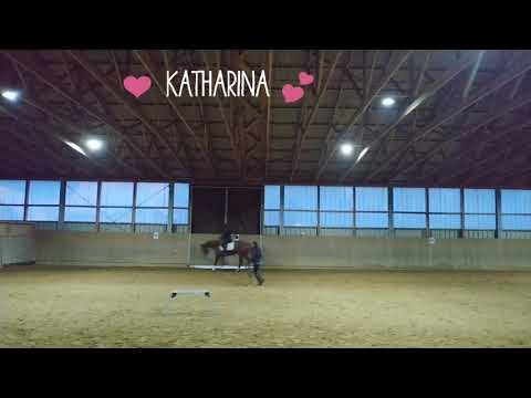 Kathi 💞 Erstes Reiten ohne Longe 14. März 2019
