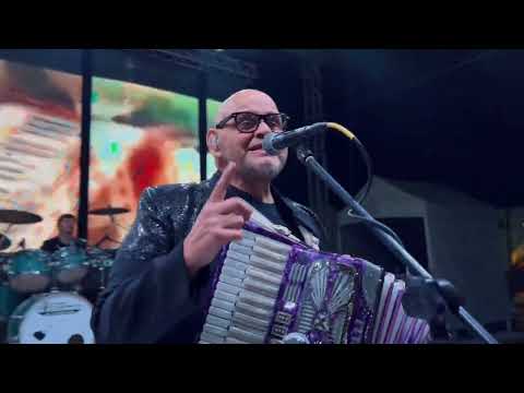 SOLOS, EL PERRO, EL GATO Y YO ✨🎹❤ EN VIVO