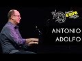ANTÔNIO ADOLFO - Insensatez | Festival ETAPA de Música de Arte