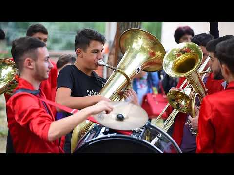 Rotaria @ Festivalul Fanfarelor - 2