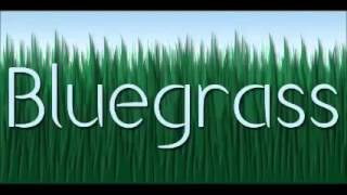 Bluegrass   Ring of Fire