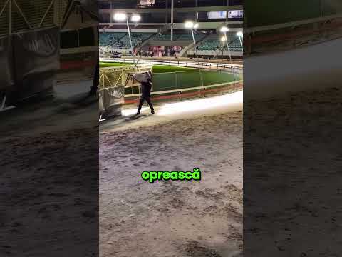 Cel mai periculos job de pe pista de ogari!