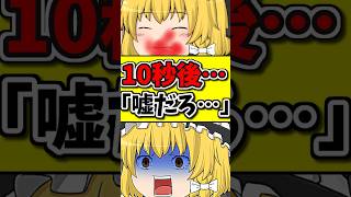 １０秒後に「嘘だろそんな…」な猫！ #shorts #ゆっくり茶番 #ゆっくり茶番劇