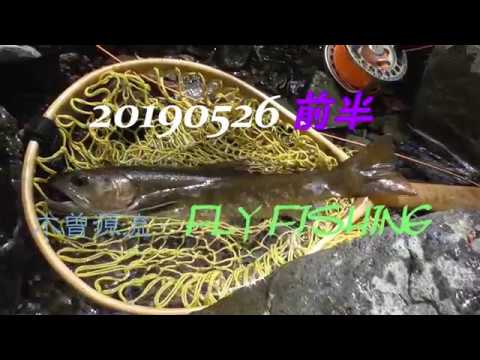 木曽源流でのヤマトイワナ、フライフィッシング20190526am前半