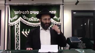 העסקת גוי כהלכה (הרב אלחנן משה נחמנסון) - התמונה מוצגת ישירות מתוך אתר האינטרנט יוטיוב. זכויות היוצרים בתמונה שייכות ליוצרה. קישור קרדיט למקור התוכן נמצא בתוך דף הסרטון