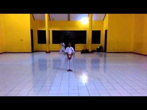 ShinKyokushin Kata " Kihon Kata Ni "