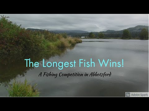The Longest Fish Wins! A Fishing Competition in Abbostford