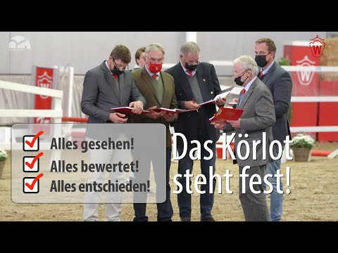 Westfälische Hauptkörung Reitpferdehengste 22. bis 25. November