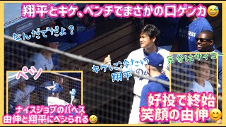 翔平とキケがベンチでまさかの口ゲンカ🤣⁉️好投で終始笑顔の由伸😊Dバックス戦３戦目#大谷翔平現地映像 #大谷翔平速報#ohtanishohei#ドジャース