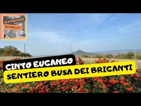 Busa dei Brigati a Cinto Euganeo: un'avventura indimenticabile