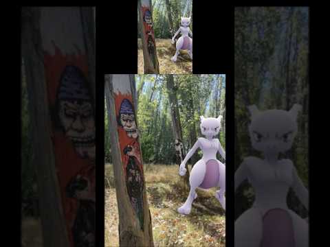 Así se creó la ruta de mitos y leyendas de Hualqui en el río Bio Bío #pokemongo #ruta